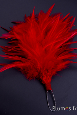 Plumet coq avec anneau -  hauteur 20 cm - carmin